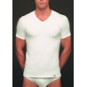 Set shirt elas kat rh km wit m